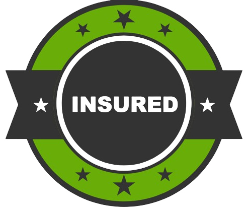 Insured icon